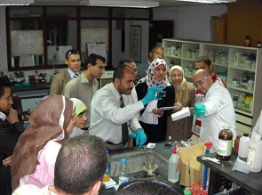 Training of Egyptian experts on testing for POPs